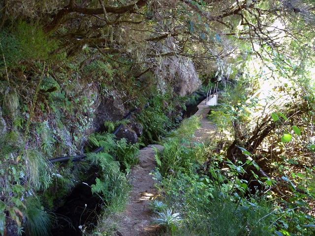 Levada Velha do Lajeado — Situação até 2019 — foto 7