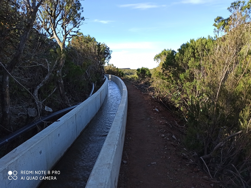 Levada Velha do Lajeado — Atualização de janeiro de 2020 — foto 7