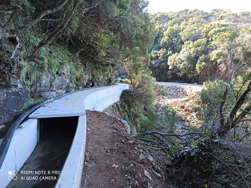 Levada Velha do Lajeado — Atualização de janeiro de 2020 — foto 8