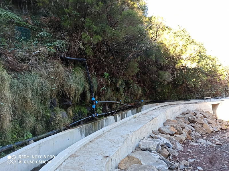 Levada Velha do Lajeado — Atualização de janeiro de 2020 — foto 9
