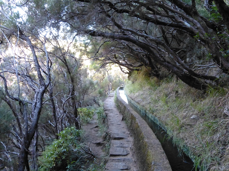 Levada Vinte e Cinco Fontes — Túneis e vistas do Rabaçal — foto 3