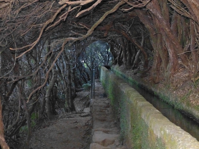 Levada Vinte e Cinco Fontes — Túneis e vistas do Rabaçal — foto 4