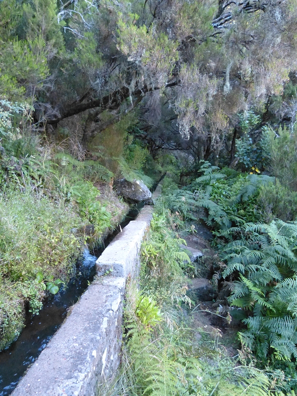 Levada Vinte e Cinco Fontes — Túneis e vistas do Rabaçal — foto 5