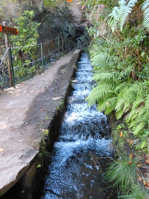 Levada Vinte e Cinco Fontes — 25 Fontes — foto 1