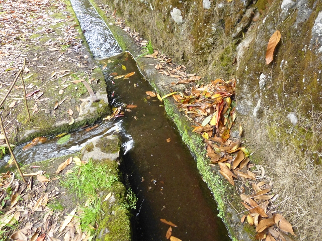 aqui um pouco mais perto