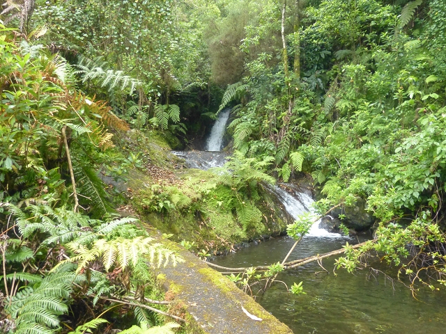 Levada (Nova) da Achada Grande — Madre na Ribeira dos Moinhos — foto 1