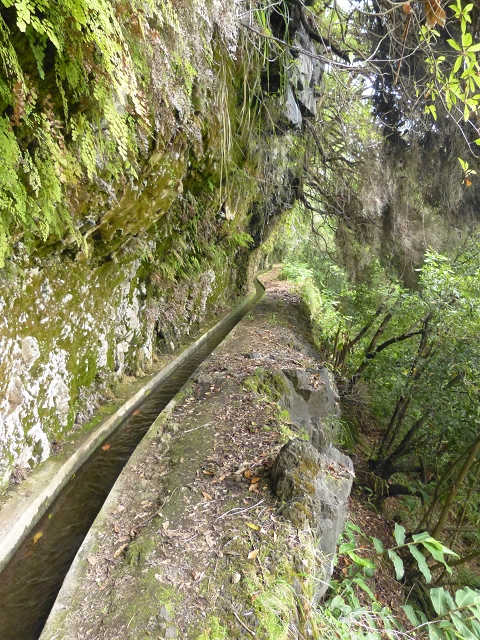 Levada (Nova) da Achada Grande — Por cima da Ribeira do Porco — foto 2