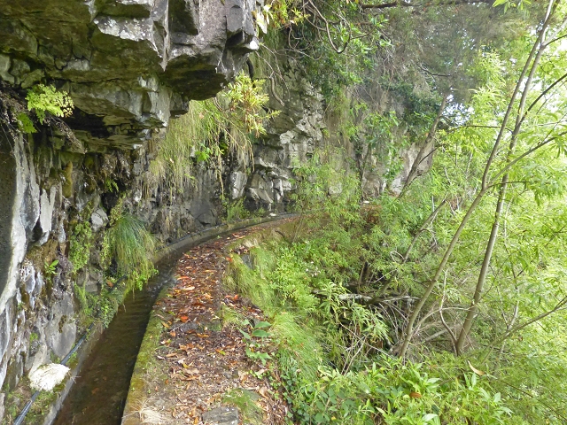 Levada (Nova) da Achada Grande — Por cima da Ribeira do Porco — foto 4