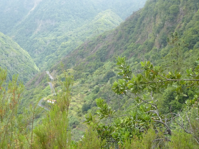 Levada (Nova) da Achada Grande — Seguindo para Tanque — foto 2