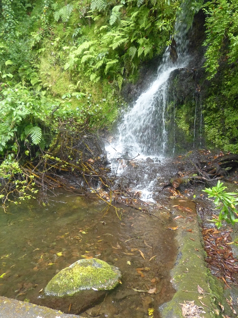 Levada (Nova) da Achada Grande — Madre na Ribeira dos Moinhos — foto 2