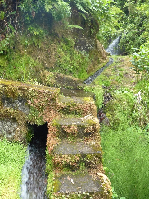 Levada (Nova) da Achada Grande — Madre na Ribeira dos Moinhos — foto 3