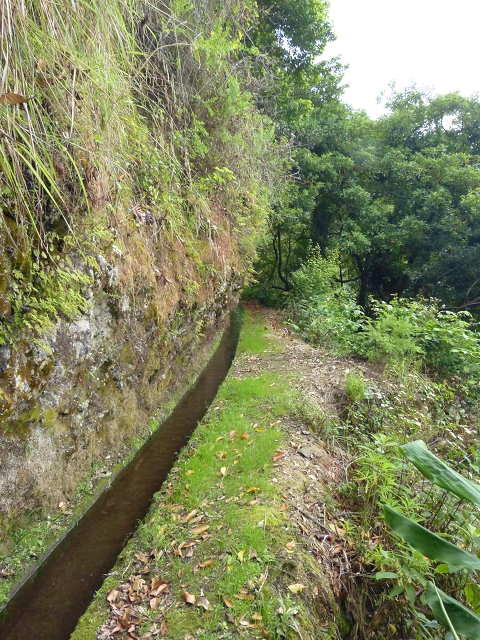 Levada (Nova) da Achada Grande — Seguindo até ao túnel — foto 1