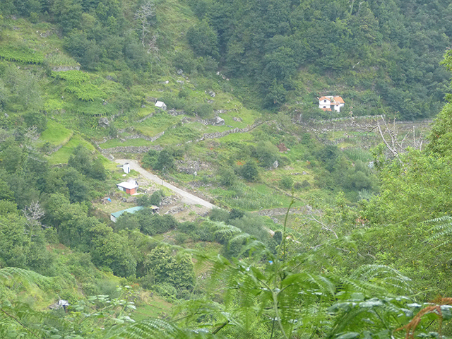 Levada (Nova) da Achada Grande — Seguindo até ao túnel — foto 4