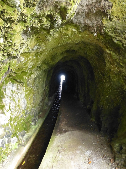 Levada (Nova) da Achada Grande — Seguindo até ao túnel — foto 5