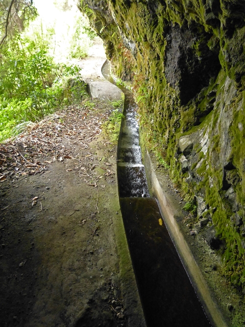 Levada (Nova) da Achada Grande — Por cima da Ribeira do Porco — foto 1