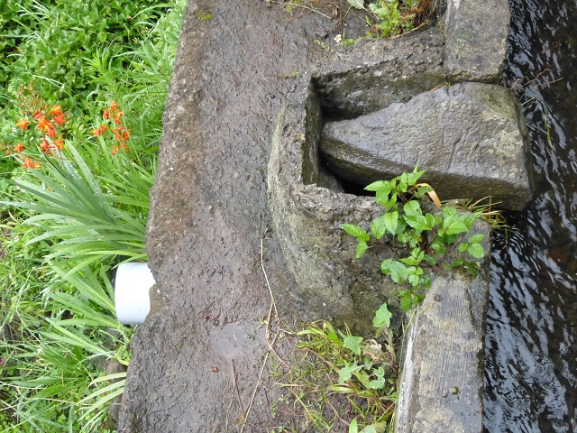 Levada da Agua de Alto — Description — photo 11