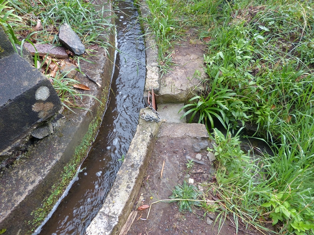 Levada da Agua de Alto — Description — photo 12