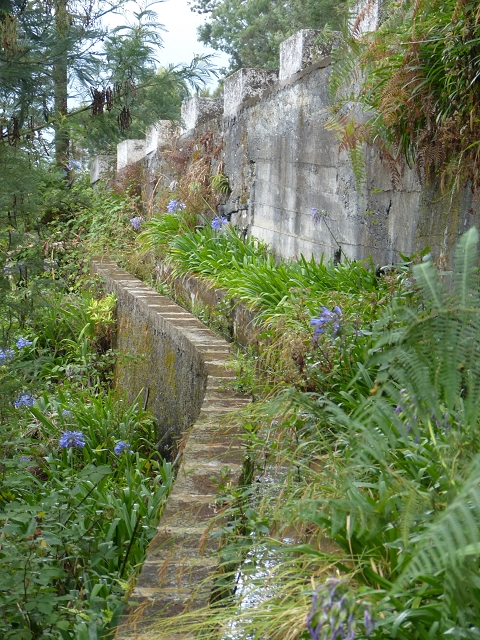 Levada da Agua de Alto — Description — photo 15