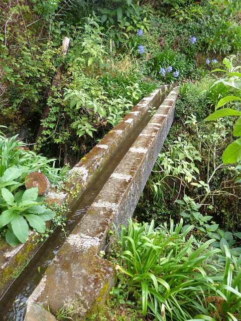 Levada da Agua de Alto — Description — photo 16