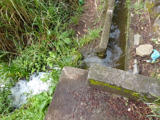 Levada da Agua de Alto — Description — photo 17