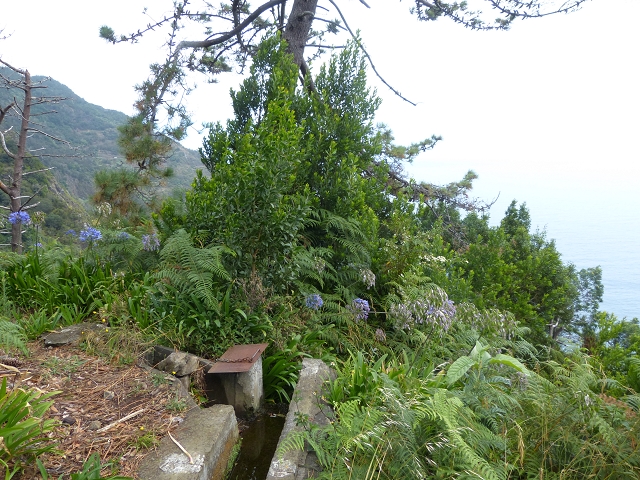Levada da Agua de Alto — Description — photo 19