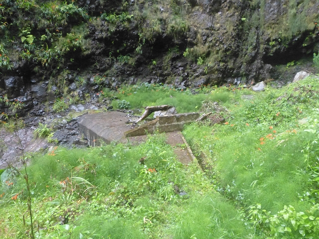 Levada da Agua de Alto — Description — photo 2