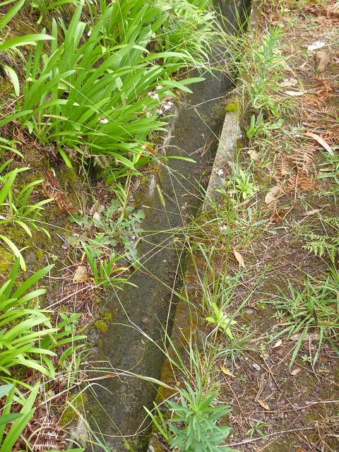 Levada da Agua de Alto — Description — photo 22