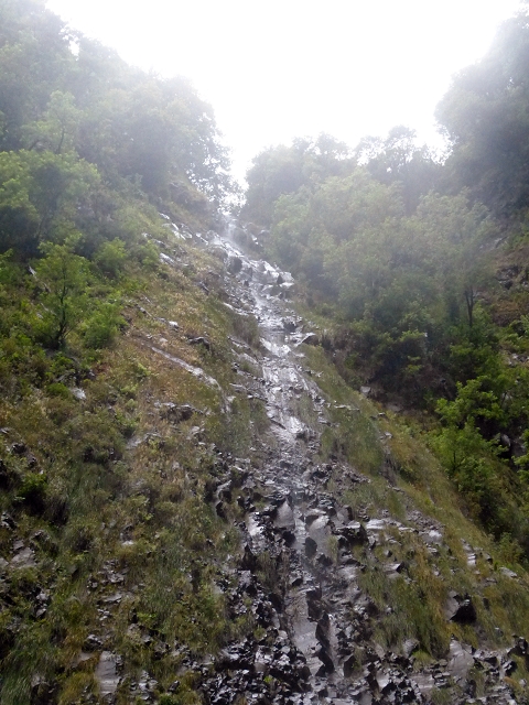 Levada da Agua de Alto — Description — photo 3