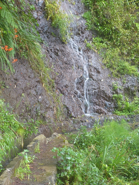 Levada da Agua de Alto — Description — photo 4