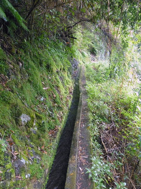 Levada da Agua de Alto — Description — photo 5