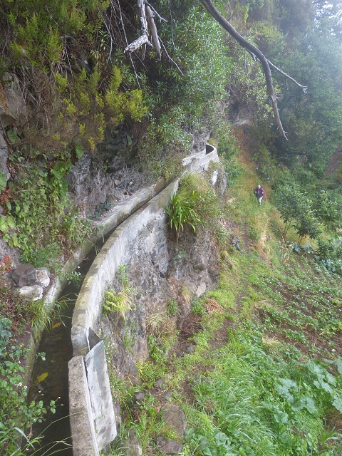 Levada da Agua de Alto — Description — photo 6