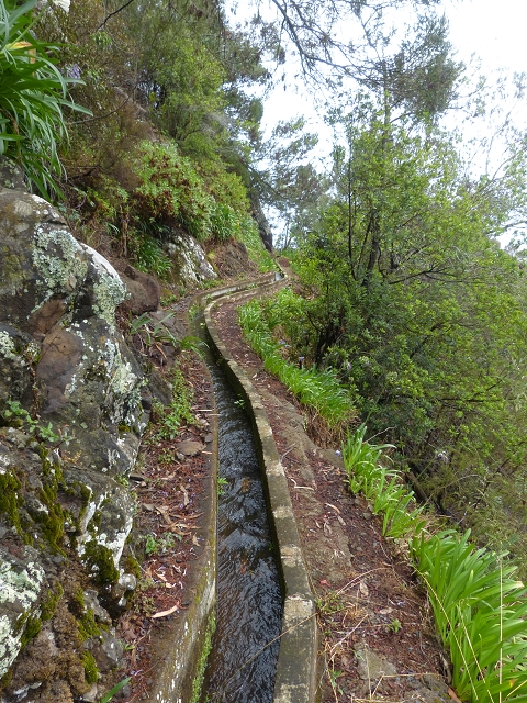 Levada da Agua de Alto — Description — photo 8