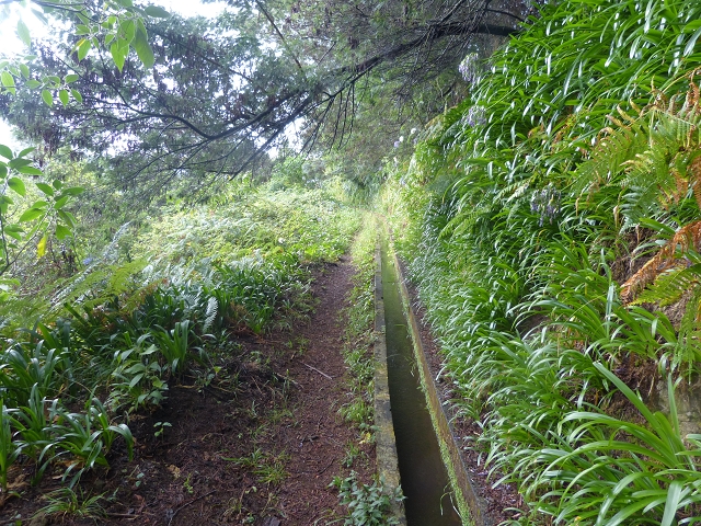 Levada da Agua de Alto — Description — photo 9