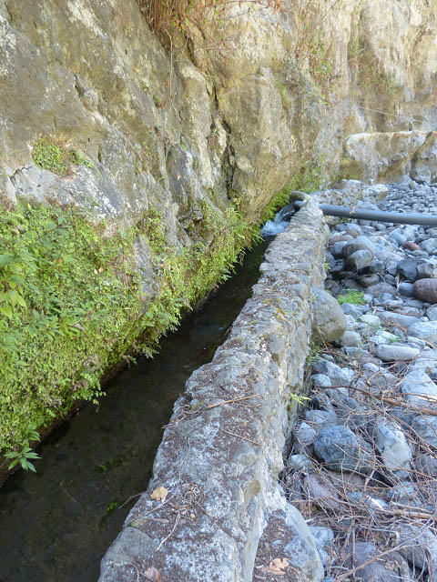 Levada da Faja — Até ao primeiro caminho de acesso — foto 2