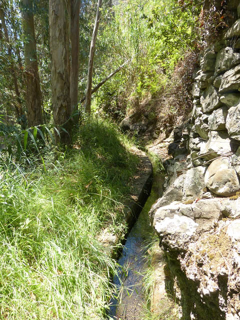 Levada da Faja — Do primeiro ao primeiro caminho de acesso — foto 8