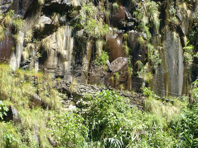 Levada da Faja — Do segundo ao terceiro caminho de acesso — foto 1