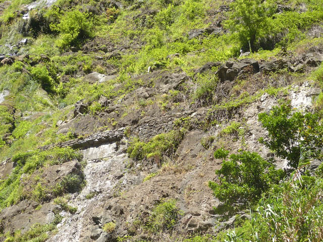 Levada da Faja — Do segundo ao terceiro caminho de acesso — foto 2