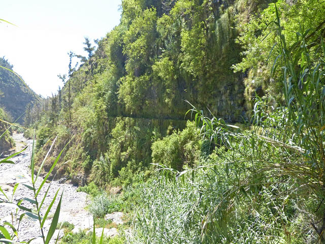 Levada da Faja — Do segundo ao terceiro caminho de acesso — foto 6