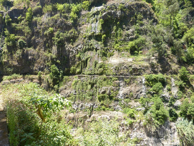 Levada da Faja — Do segundo ao terceiro caminho de acesso — foto 13