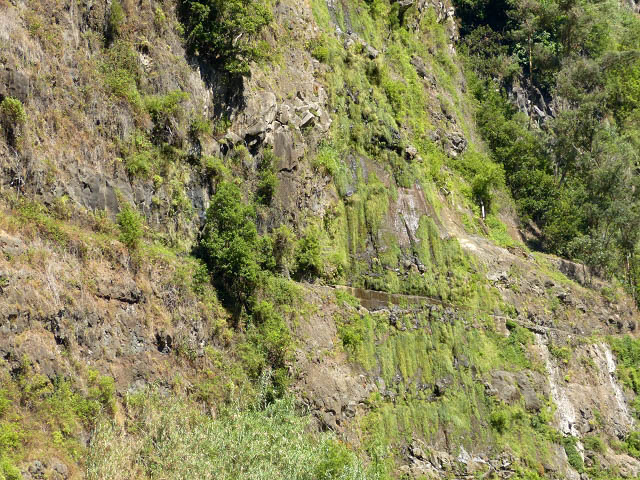 Levada da Faja — Do segundo ao terceiro caminho de acesso — foto 14