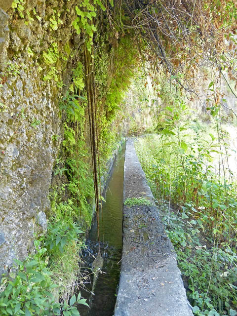 Levada da Faja — Do segundo ao terceiro caminho de acesso — foto 15