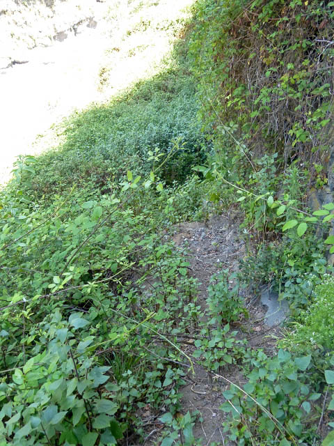 Levada da Faja — Do segundo ao terceiro caminho de acesso — foto 18