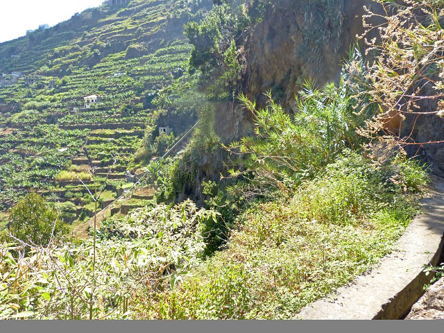 Levada da Faja — Do terceiro caminho de acesso até ao fim do primeiro troço — foto 6