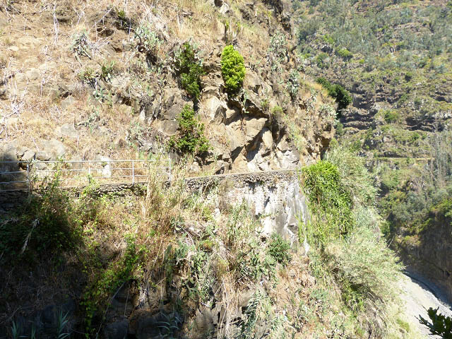Levada da Faja — Do terceiro caminho de acesso até ao fim do primeiro troço — foto 9