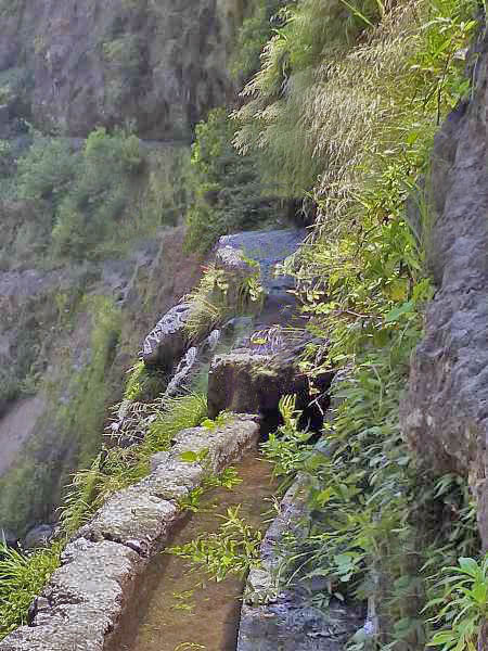 Levada da Faja — Do segundo ao terceiro caminho de acesso — foto 10