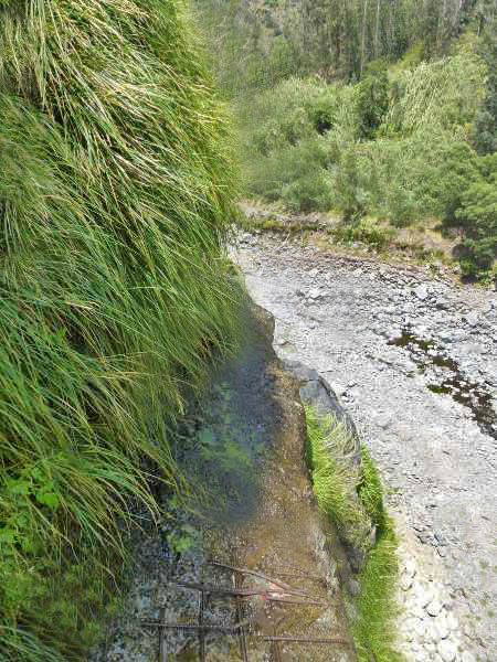 Levada da Faja — Do segundo ao terceiro caminho de acesso — foto 11