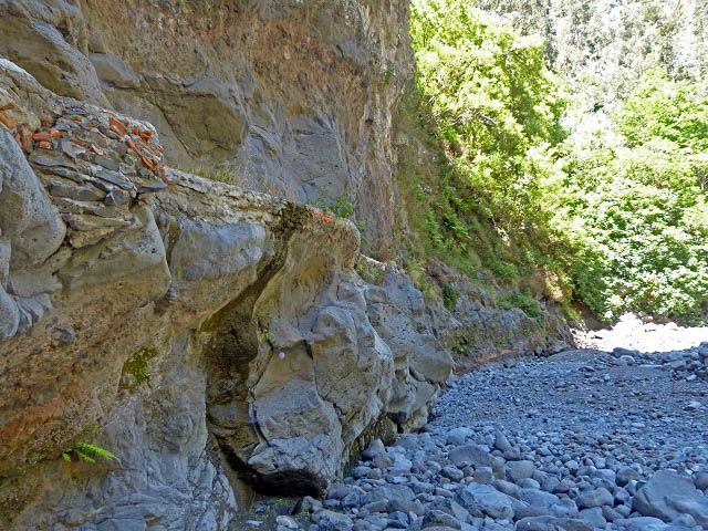 Levada da Faja — Madre e o antigo troço da levada — foto 7