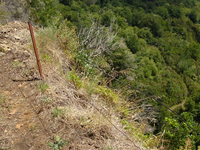 Levada da Serra do Faial — Abschnitt 2 — Foto 3