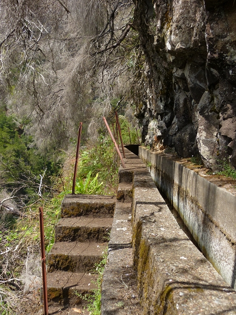 Levada da Serra do Faial — Abschnitt 2 — Foto 4
