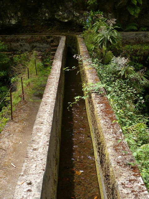 Levada da Serra do Faial — Abschnitt 2 — Foto 8